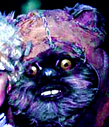 1656213344430.png