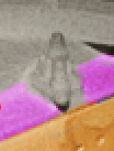 1678912849778.png