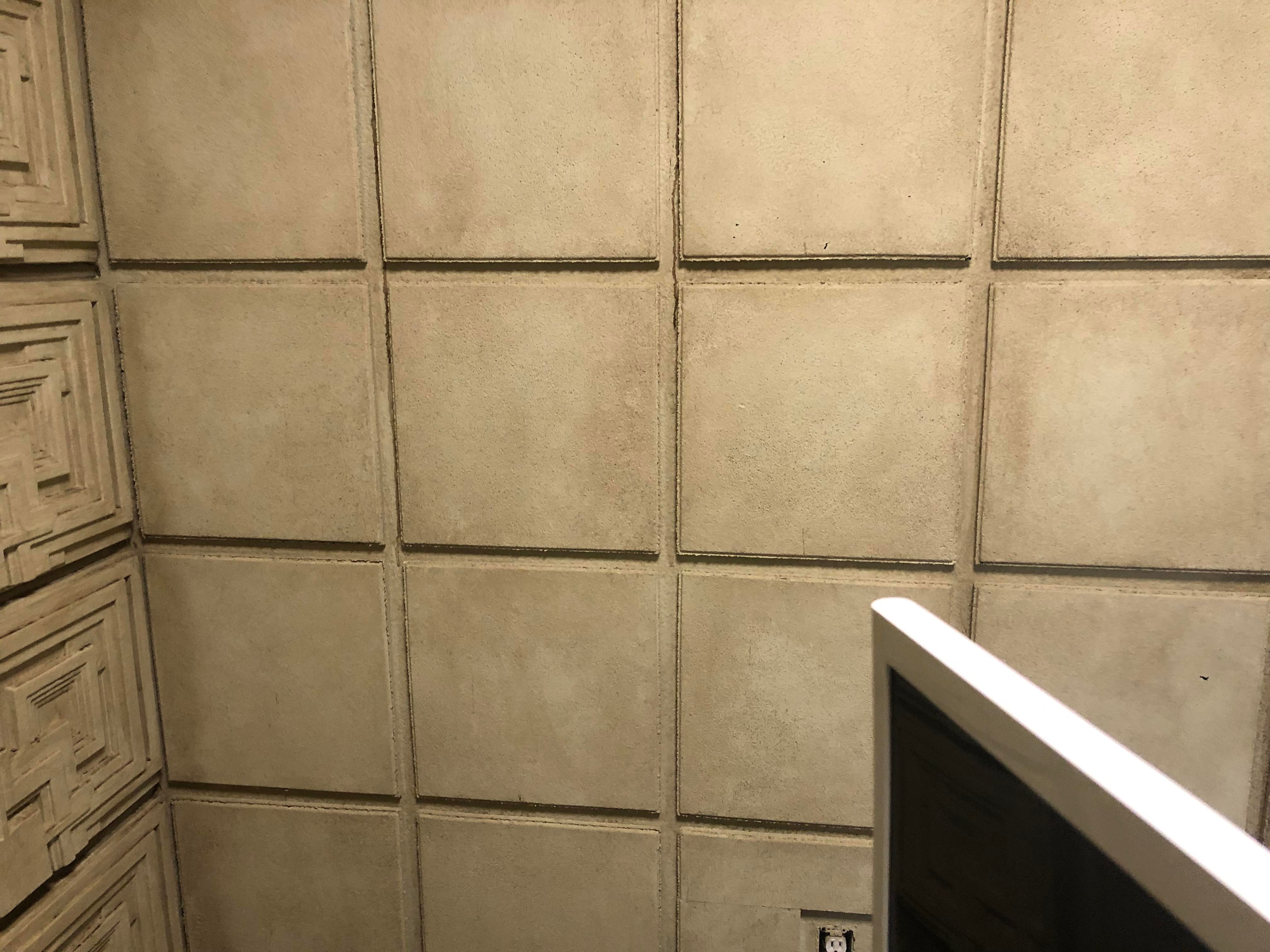 1679163153195.jpeg