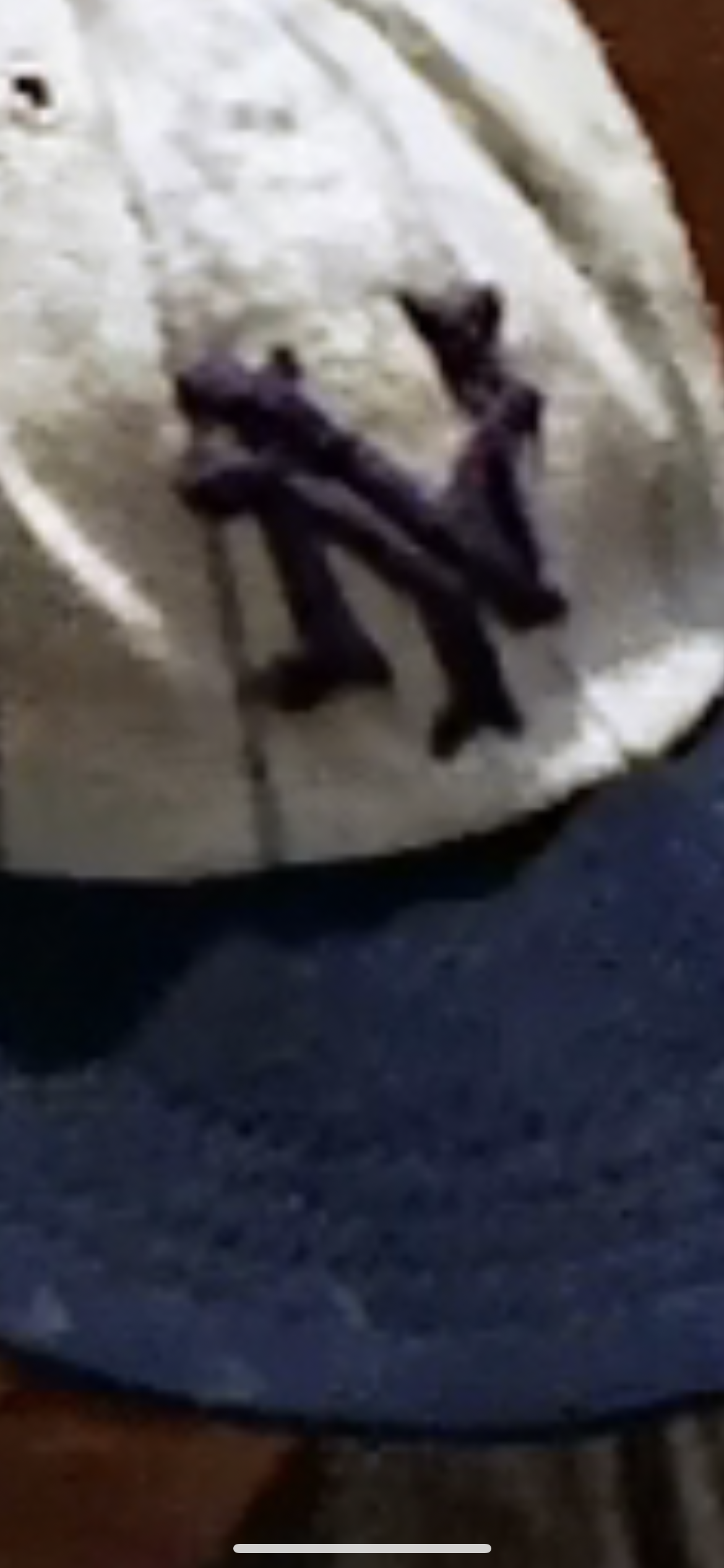 1681951109941.png