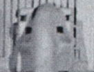 1691364533510.png