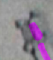 1697722295533.png