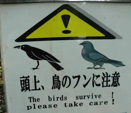 1701046906293.png