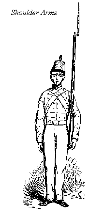 1734661570799.png
