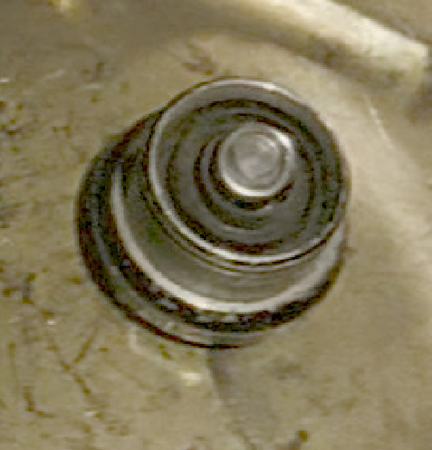 1740910014150.png