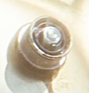 1740910220383.png