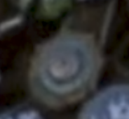 1750738165691.png