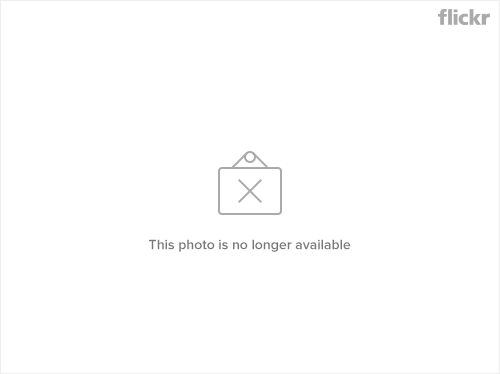196009217_c732bf04dc.png