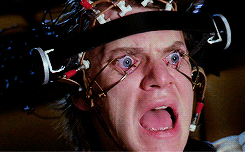 1C981E38-5DB4-42CD-9F71-C1AEC7801E40.gif