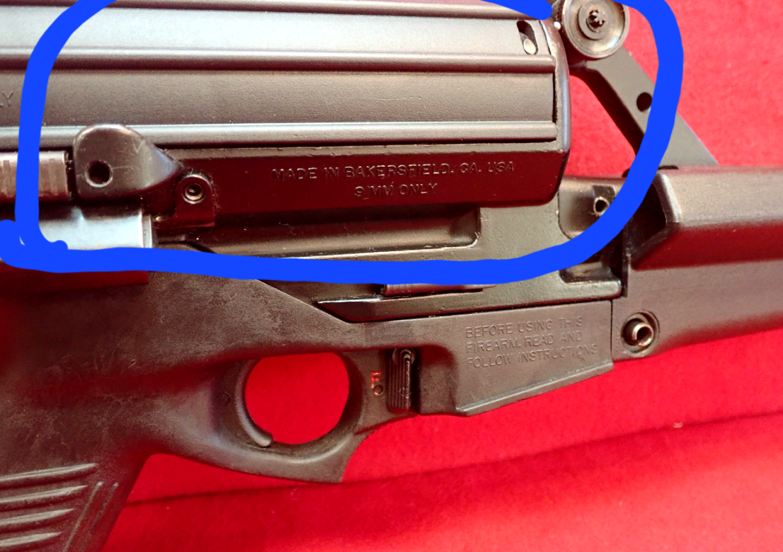 1Calico1.png