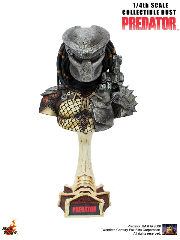 1PredatorBust.jpg