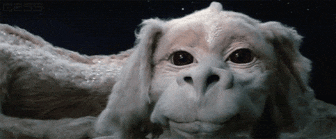 200_s.gif
