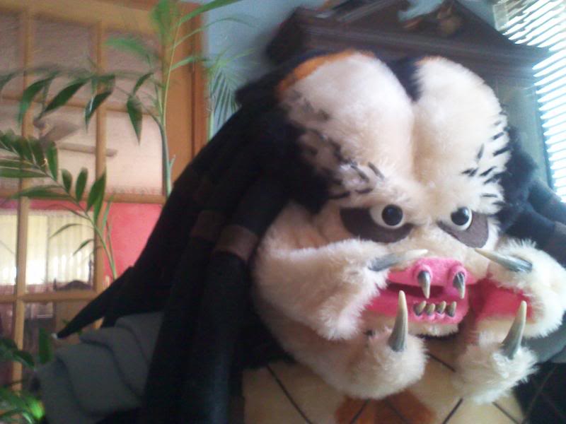 2011-02-26082434.jpg