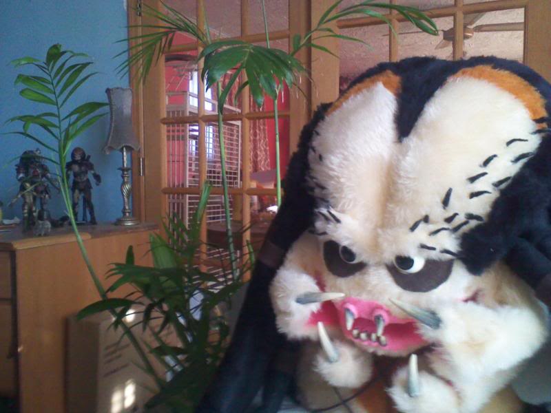 2011-02-26082737.jpg