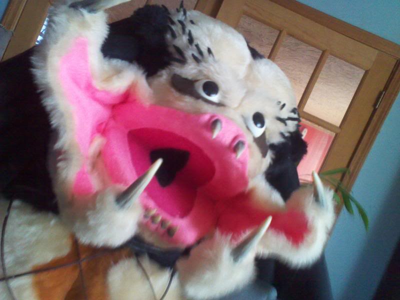 2011-02-26083644.jpg
