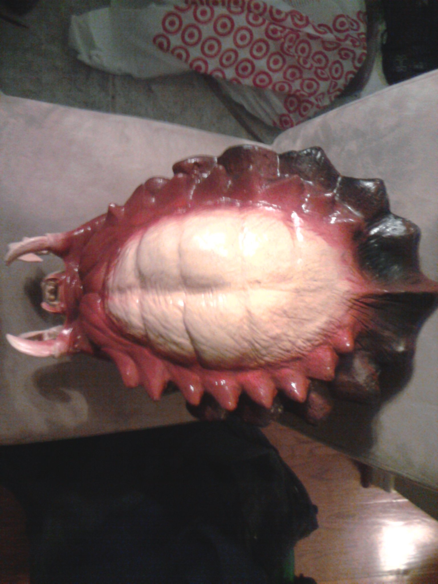 2011_01_03_17.19.31.jpg