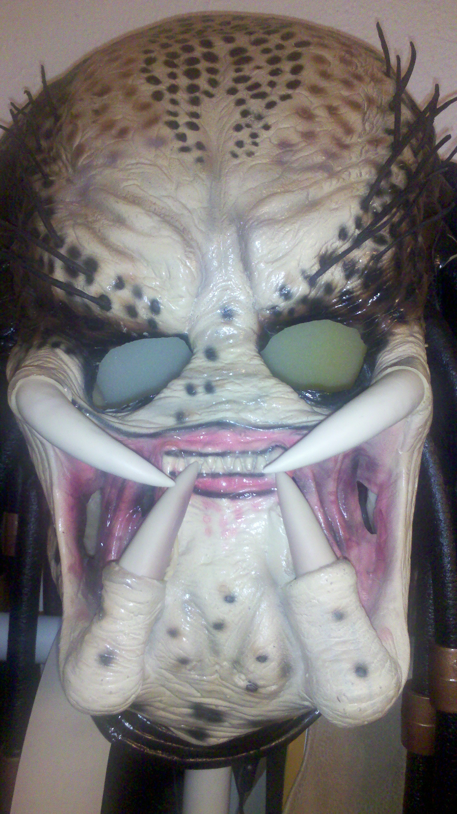 2012-03-13_20-54-11_398.jpg