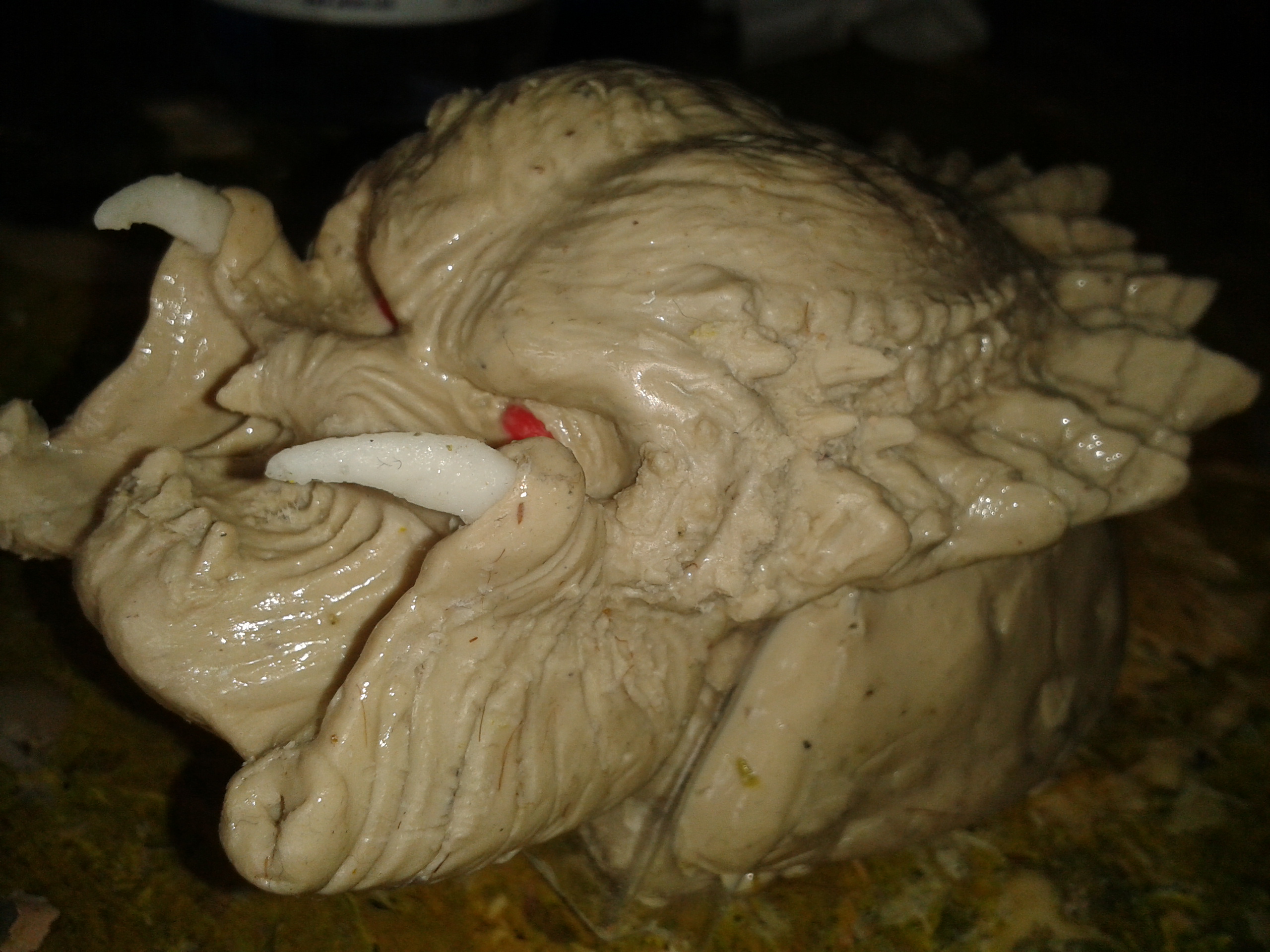 2013-04-23 19.32.33.jpg