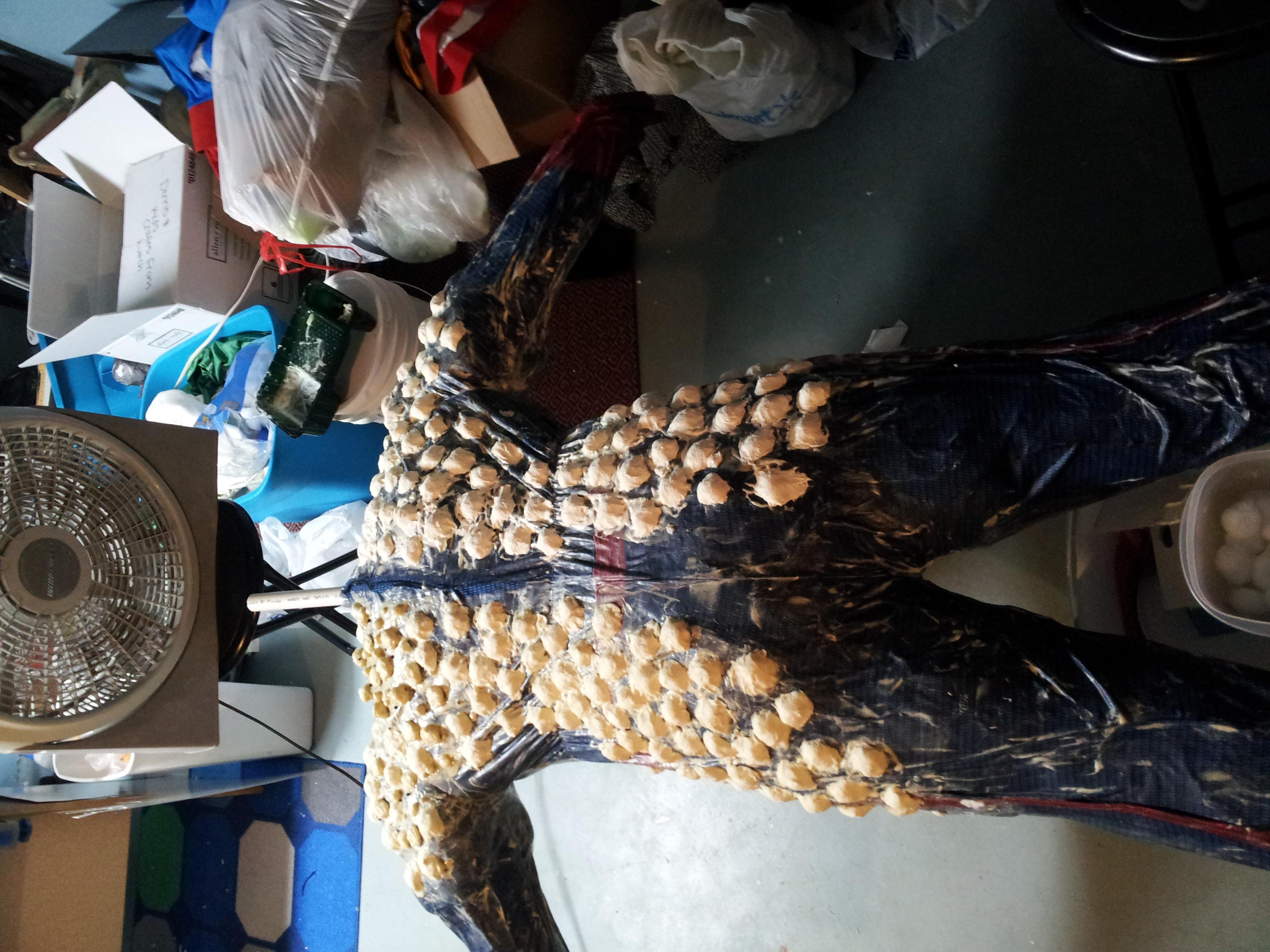 20130112_153043.jpg