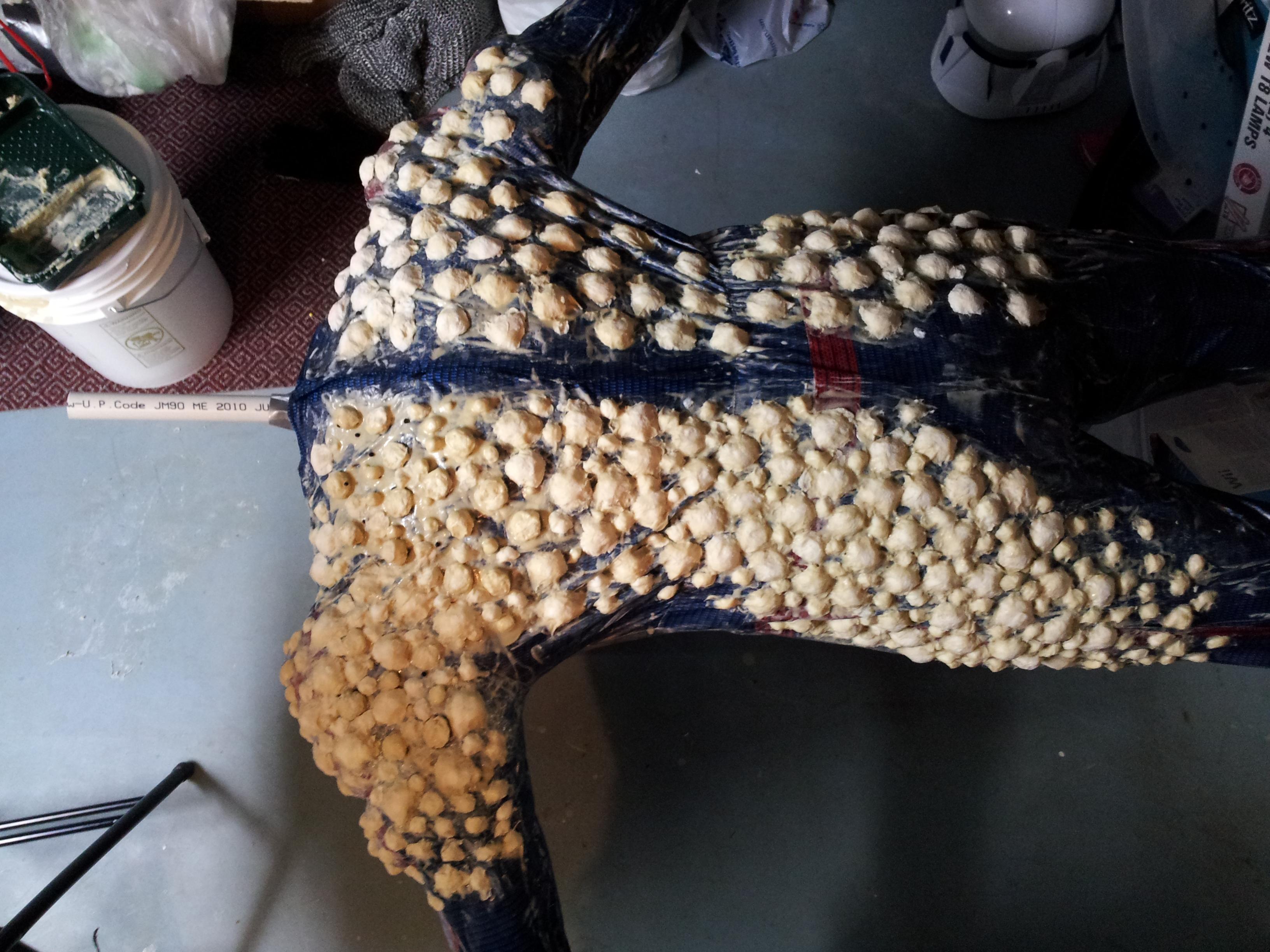 20130115_135417.jpg
