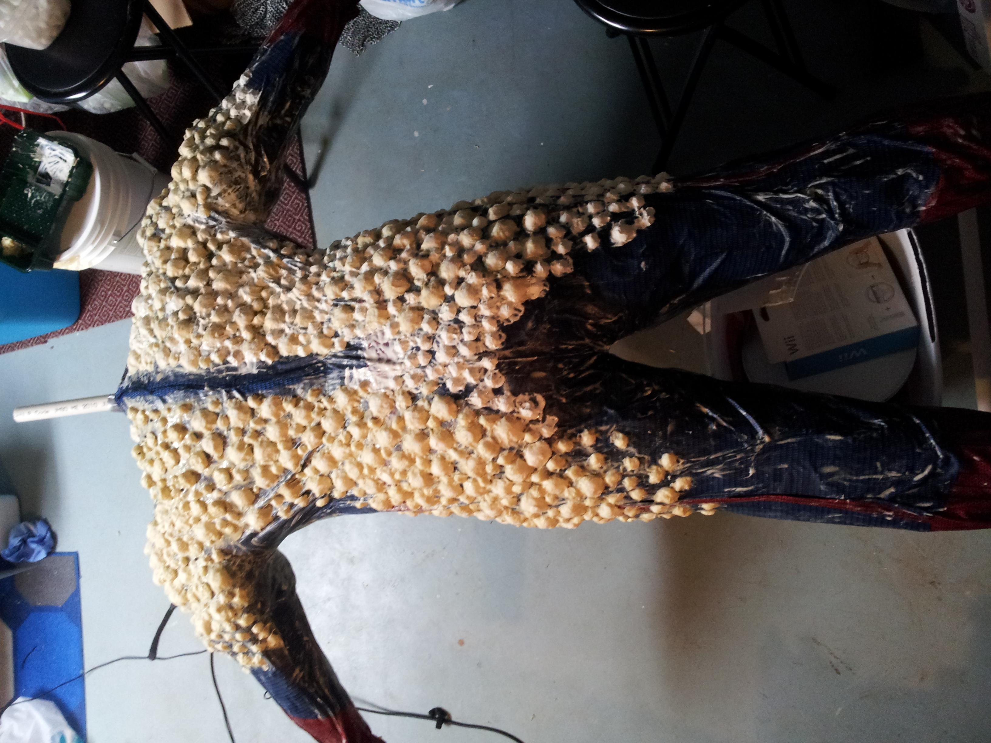 20130117_032229.jpg