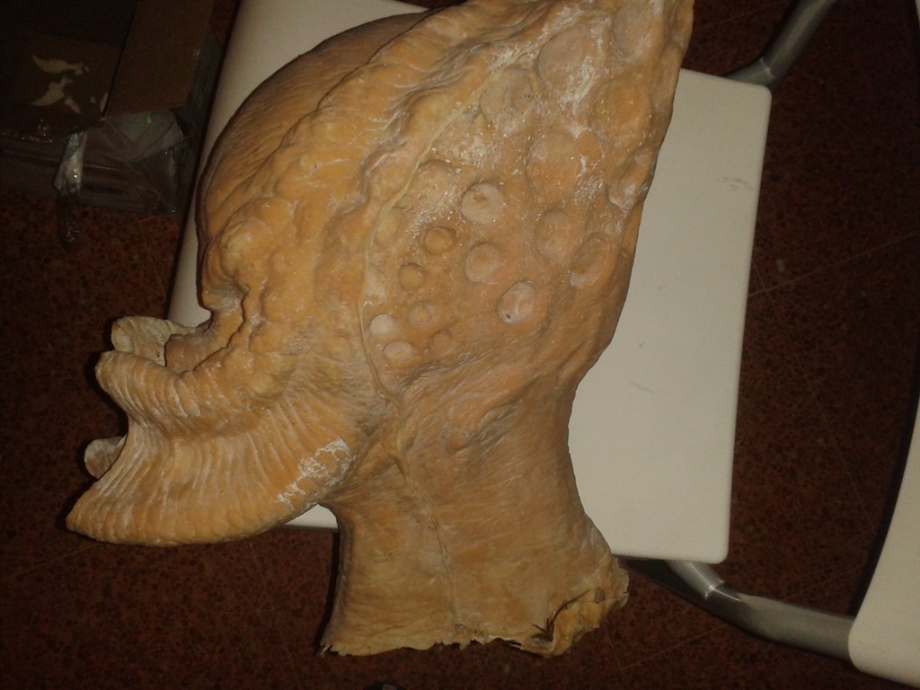 20130813_145021.jpg