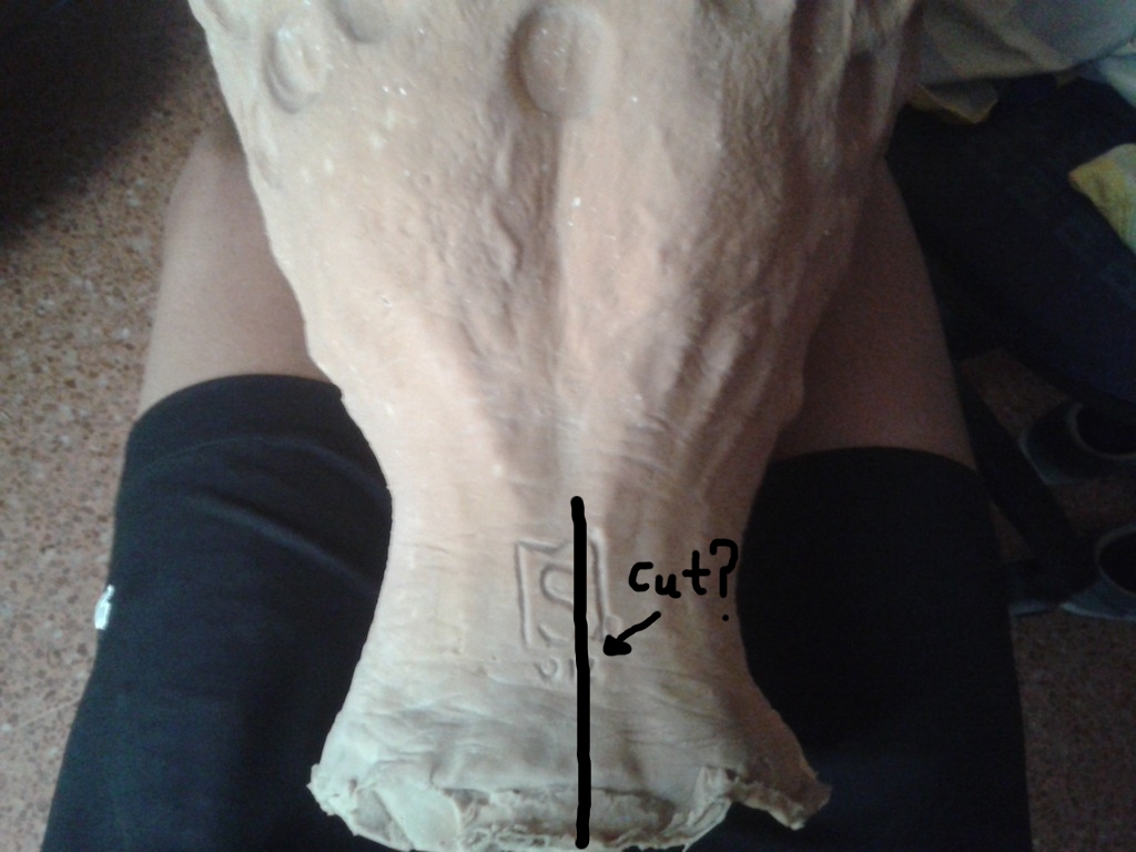 20130817_140145.jpg