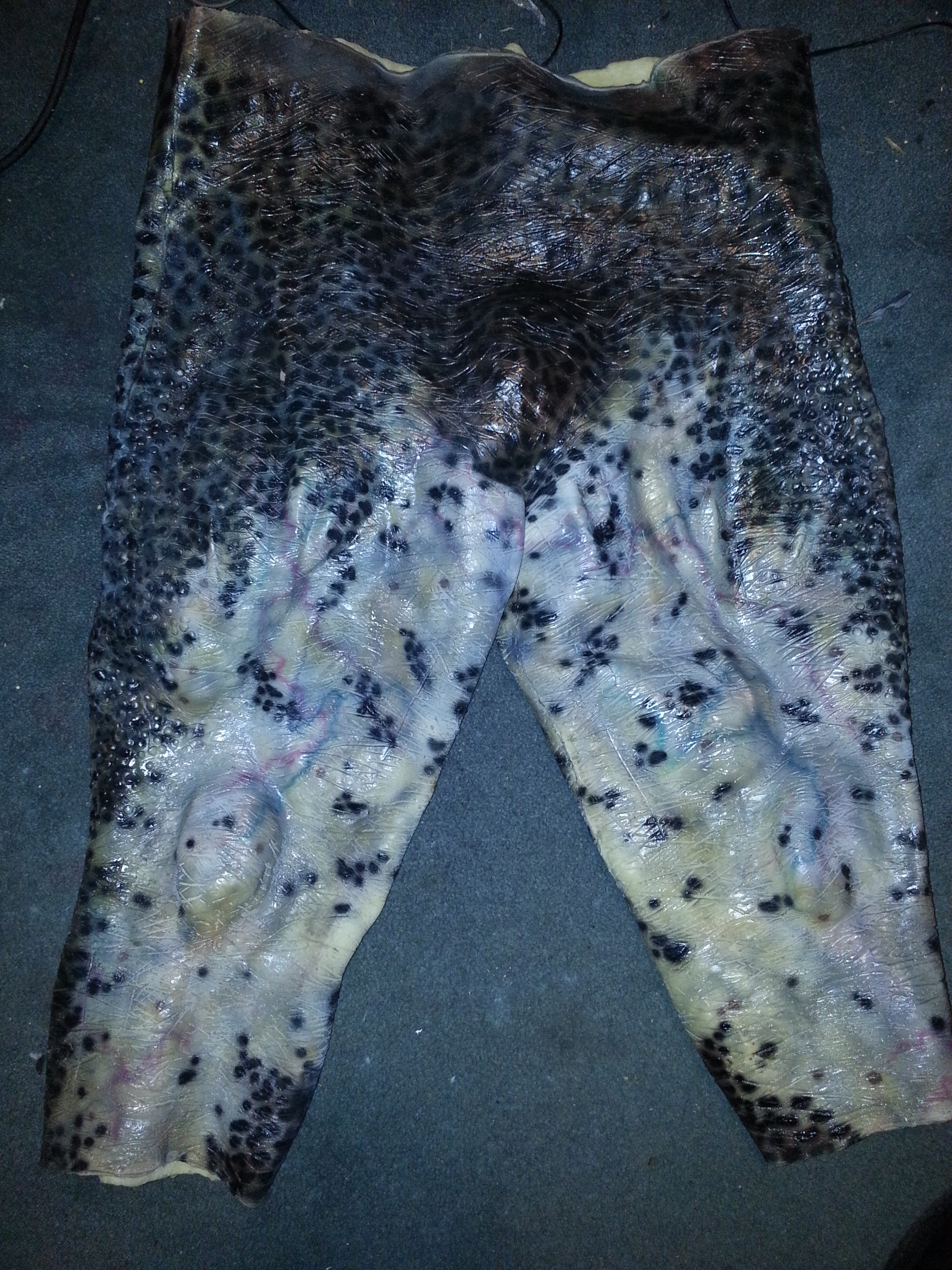 20131021_182845.jpg