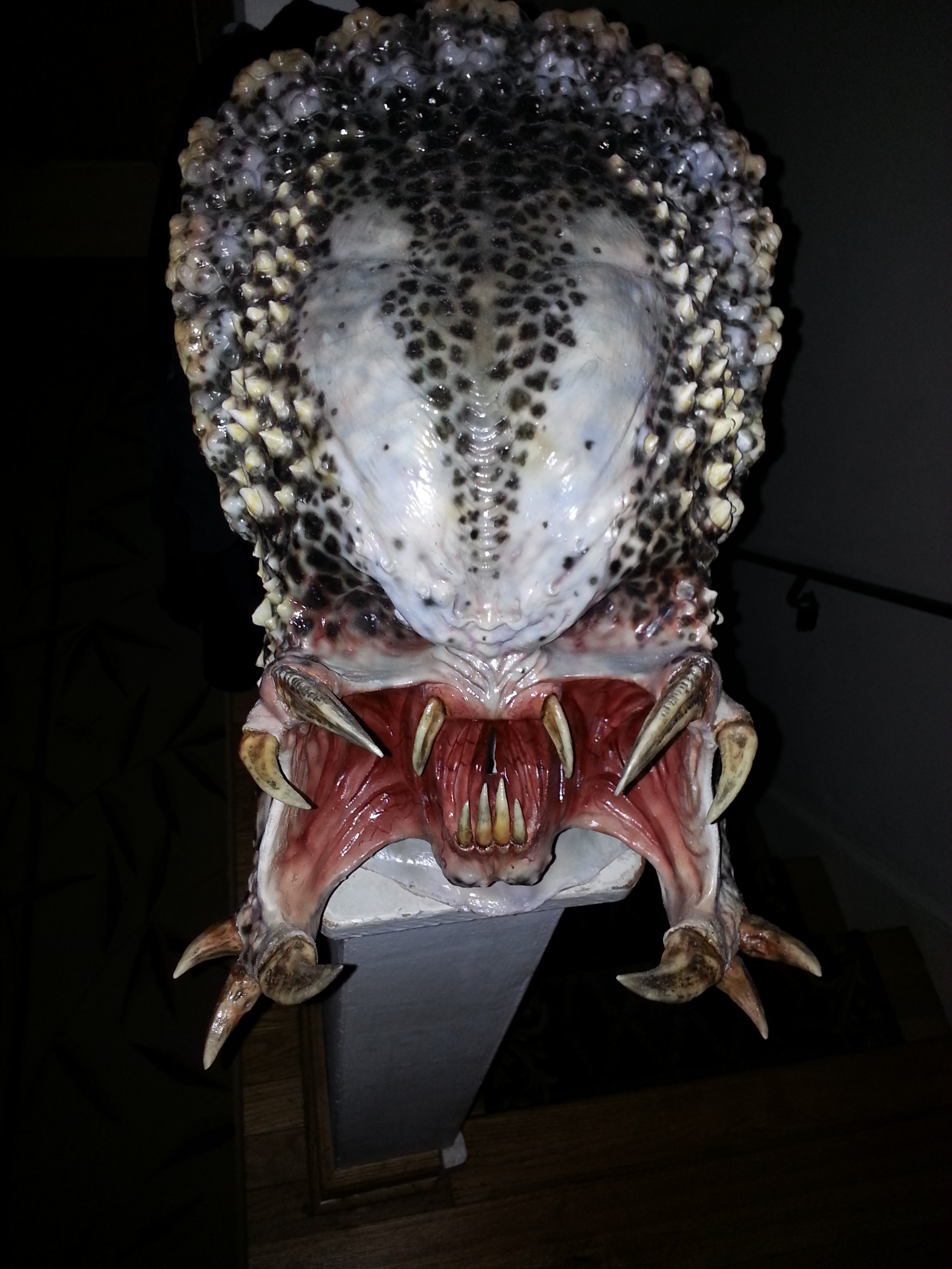 20131021_183118.jpg