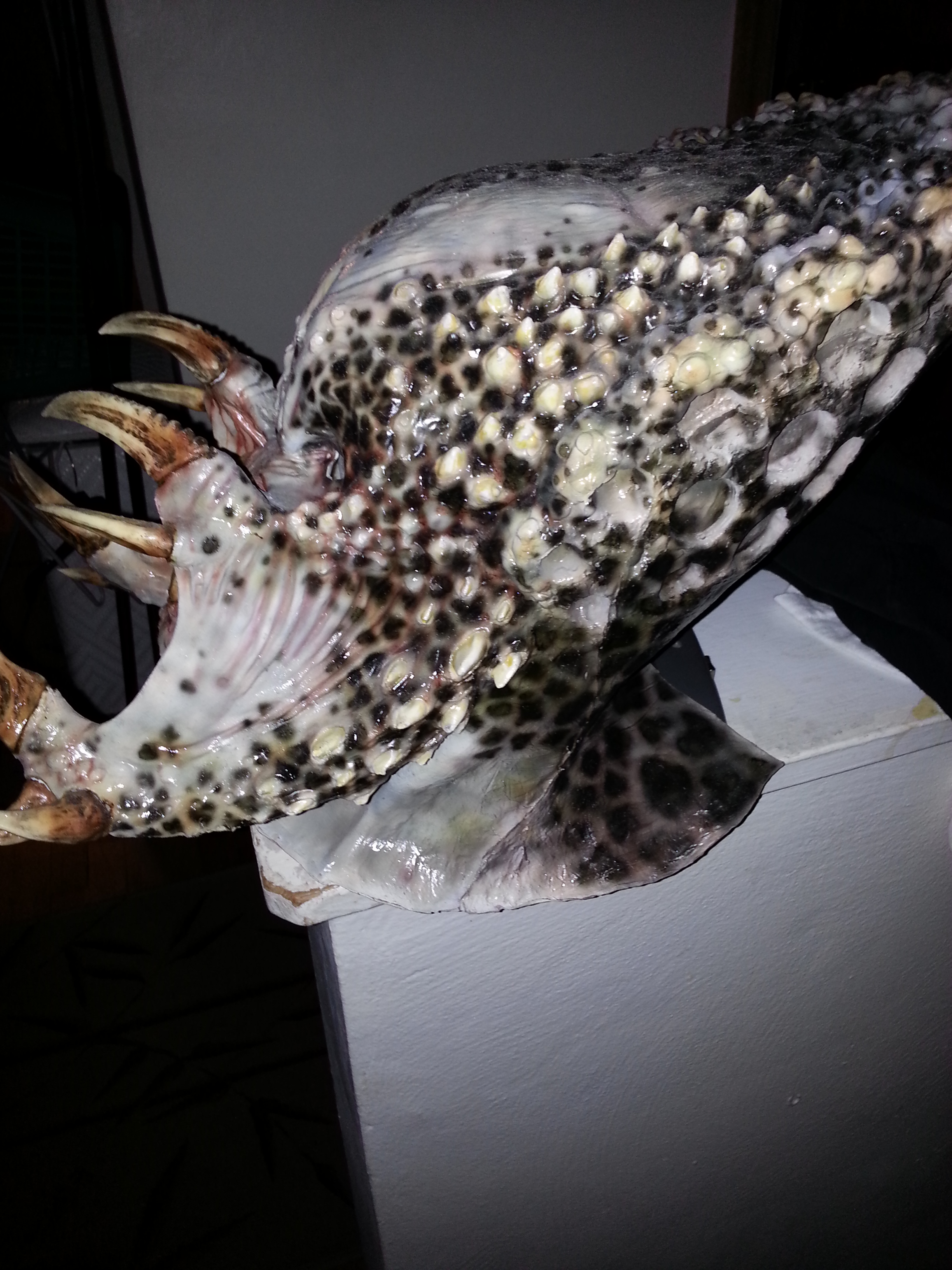 20131021_183132.jpg