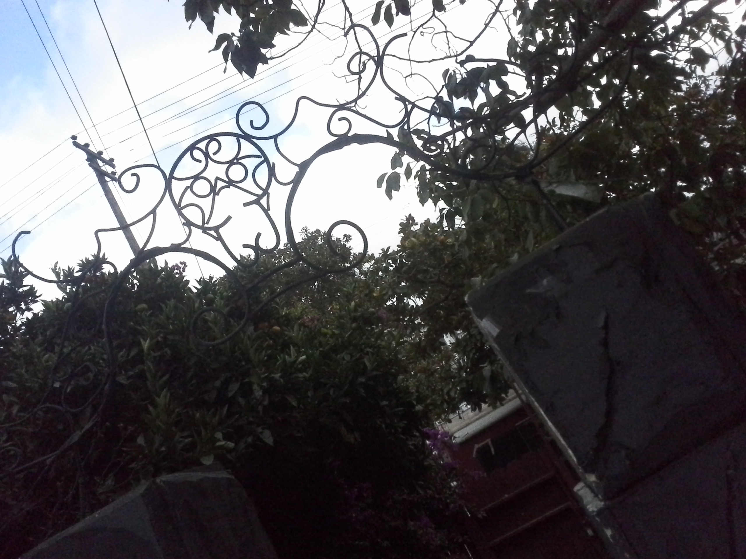 20131027_153226.jpg