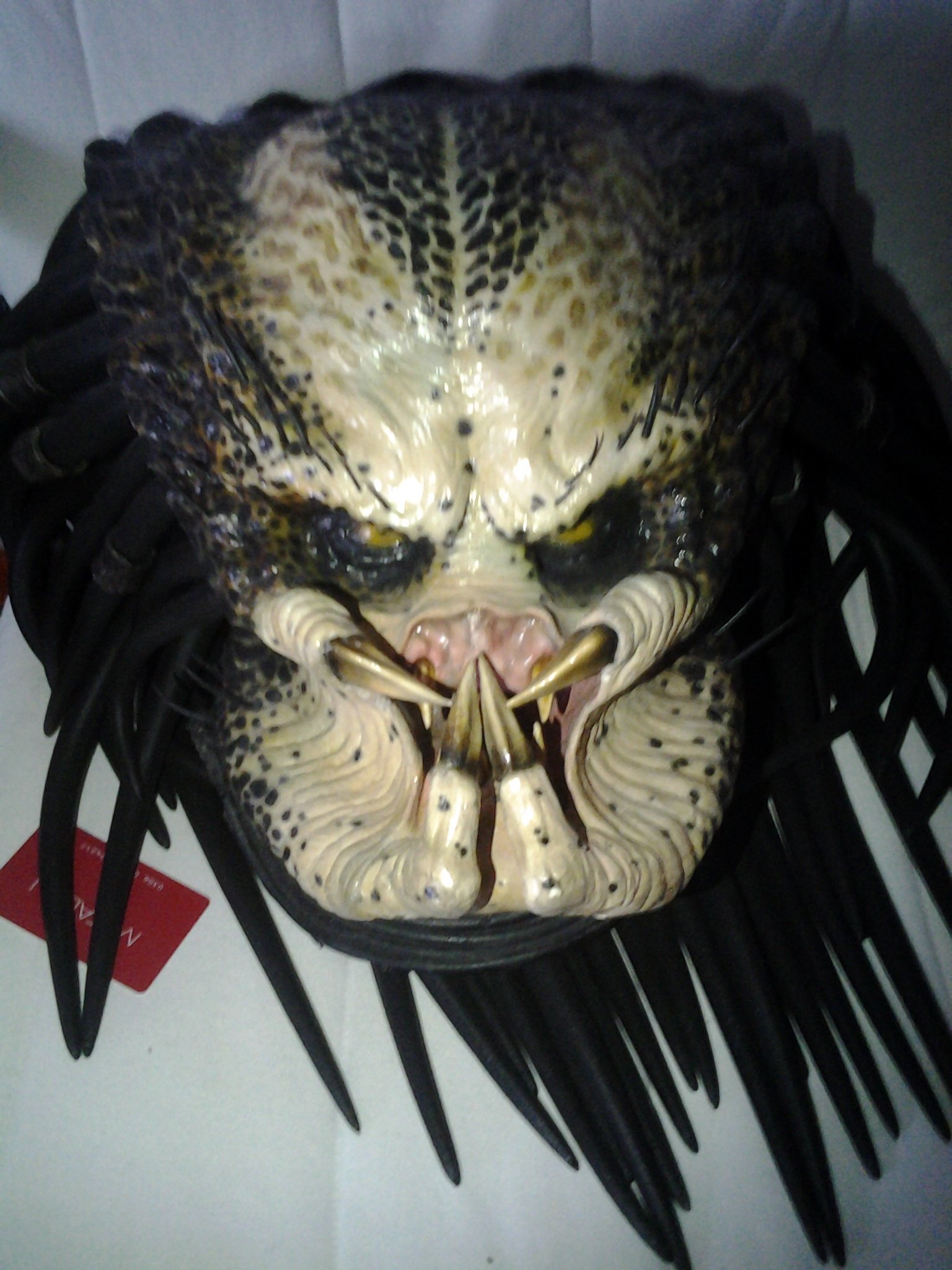 20140818_160530.jpg