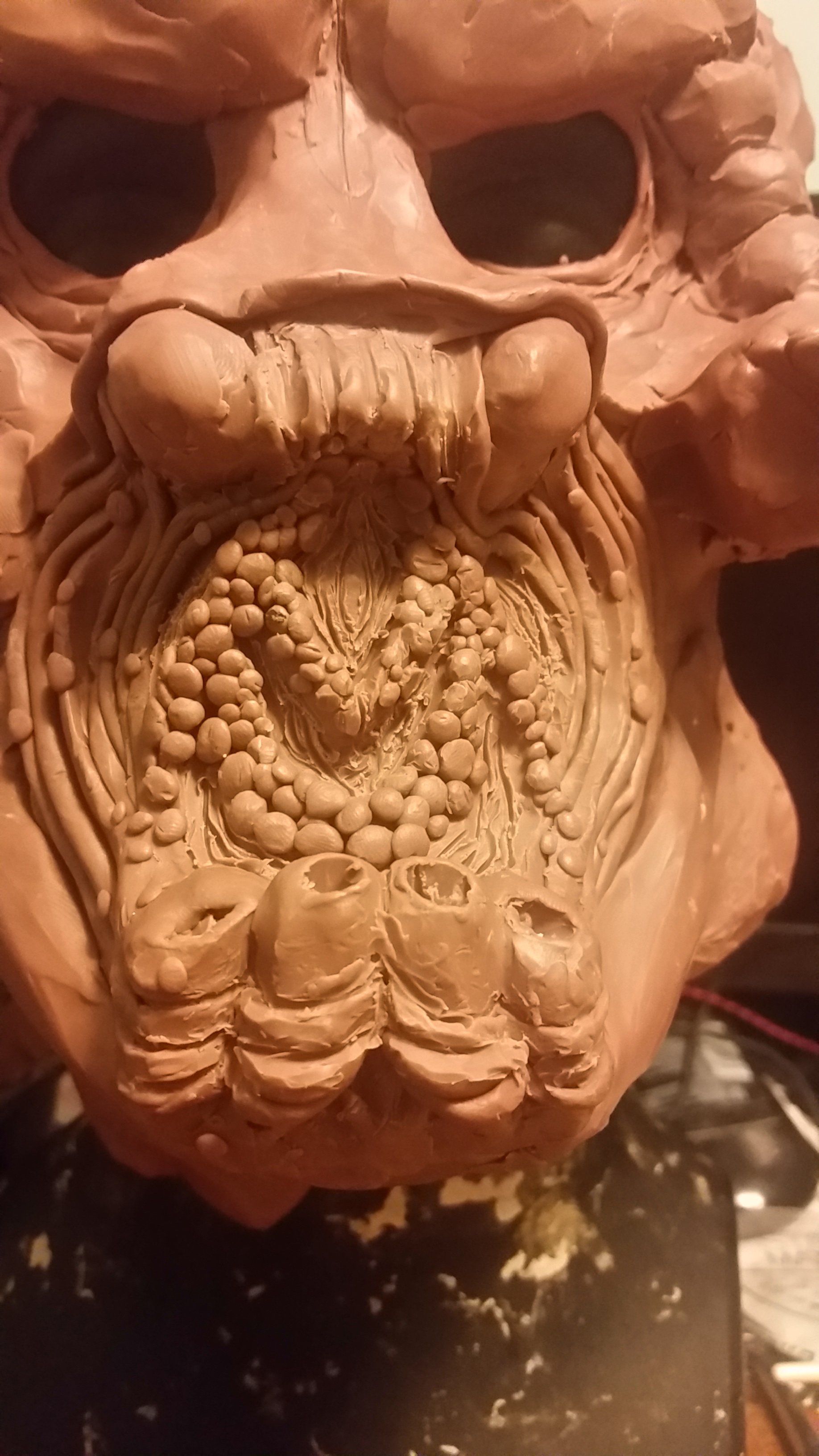 20151111_220915.jpg