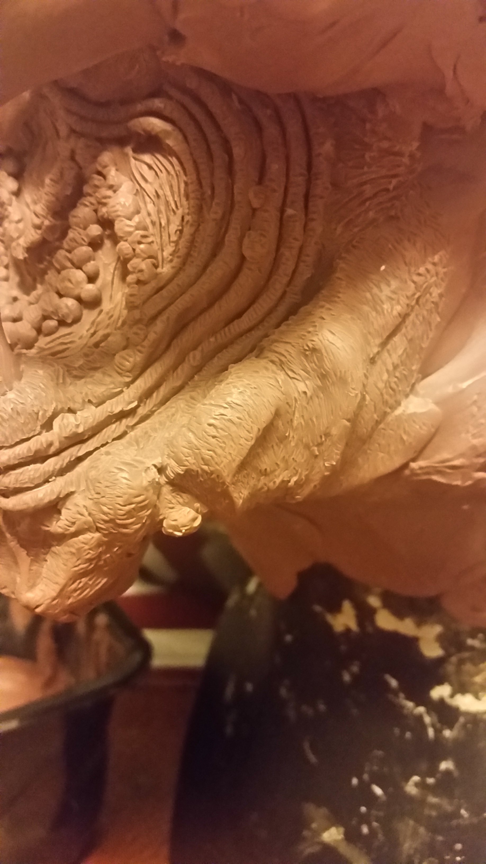 20151113_013922.jpg