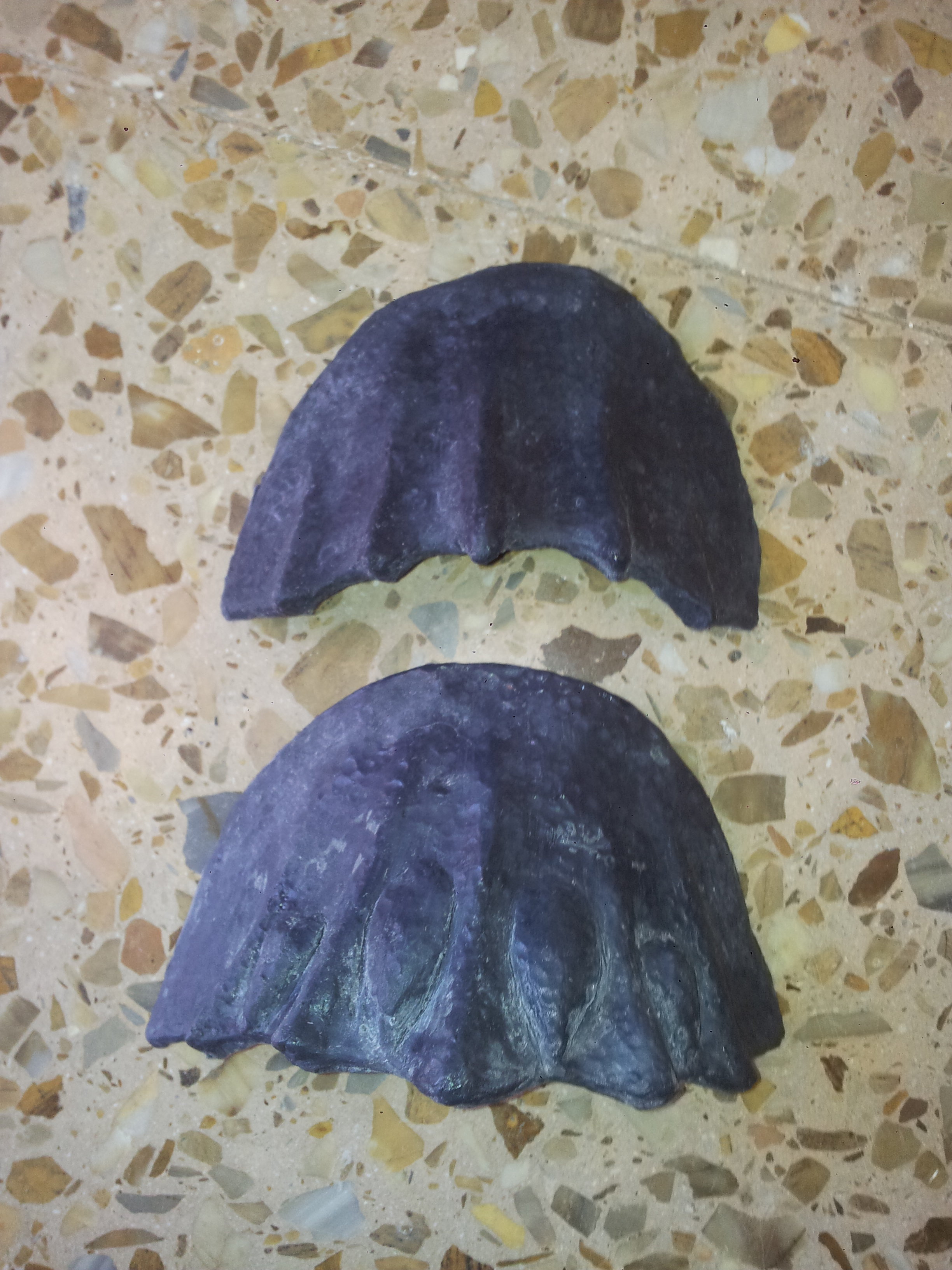20160903_170720.jpg