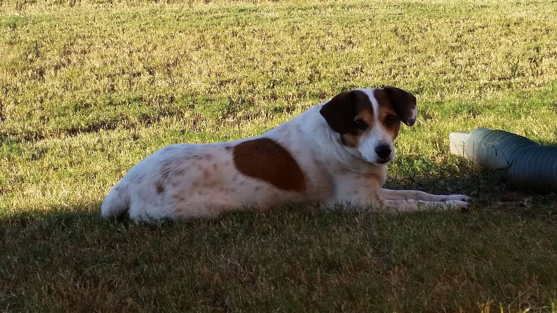 20161008_172308.jpg