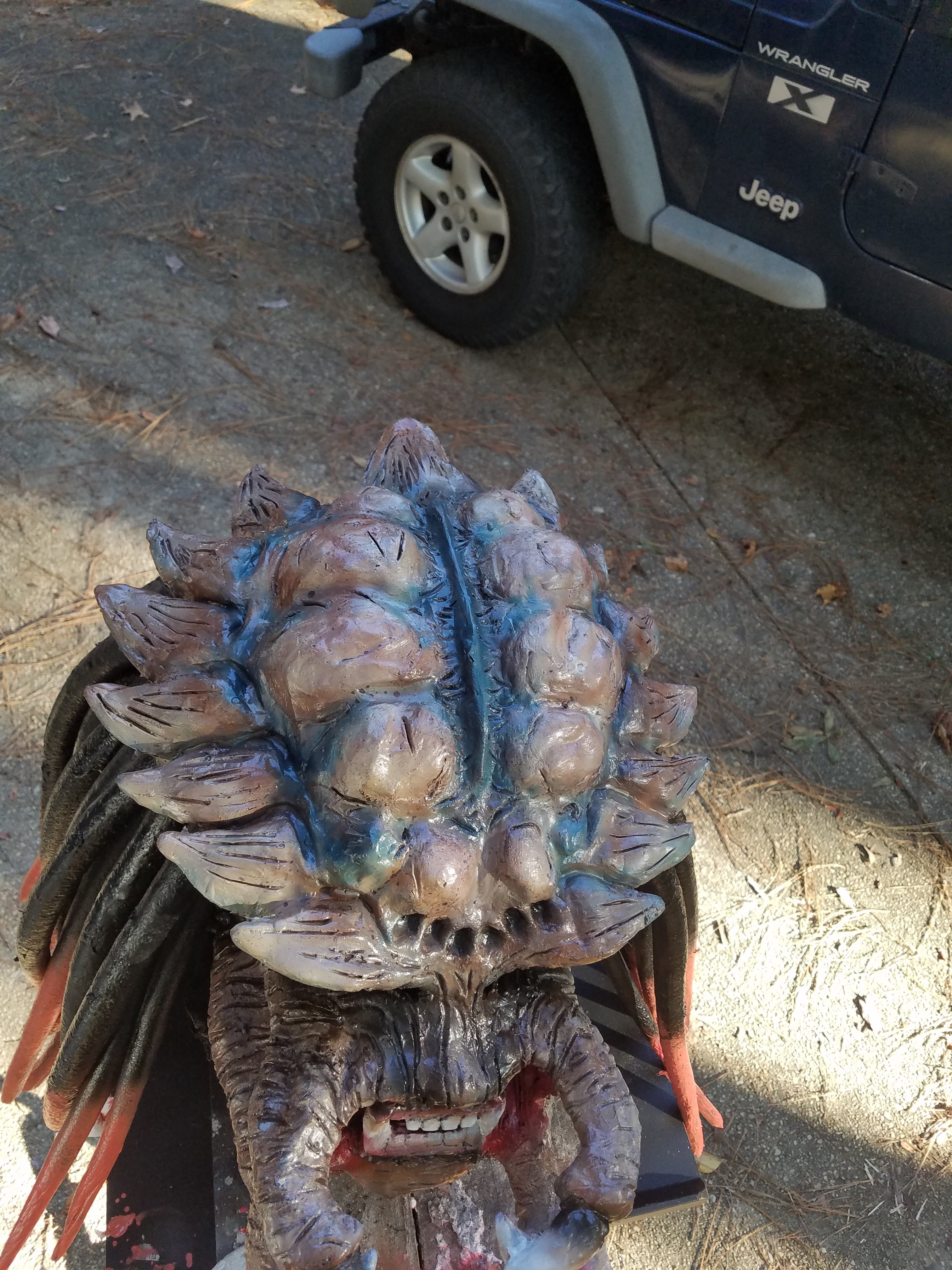 20181016_165021.jpg