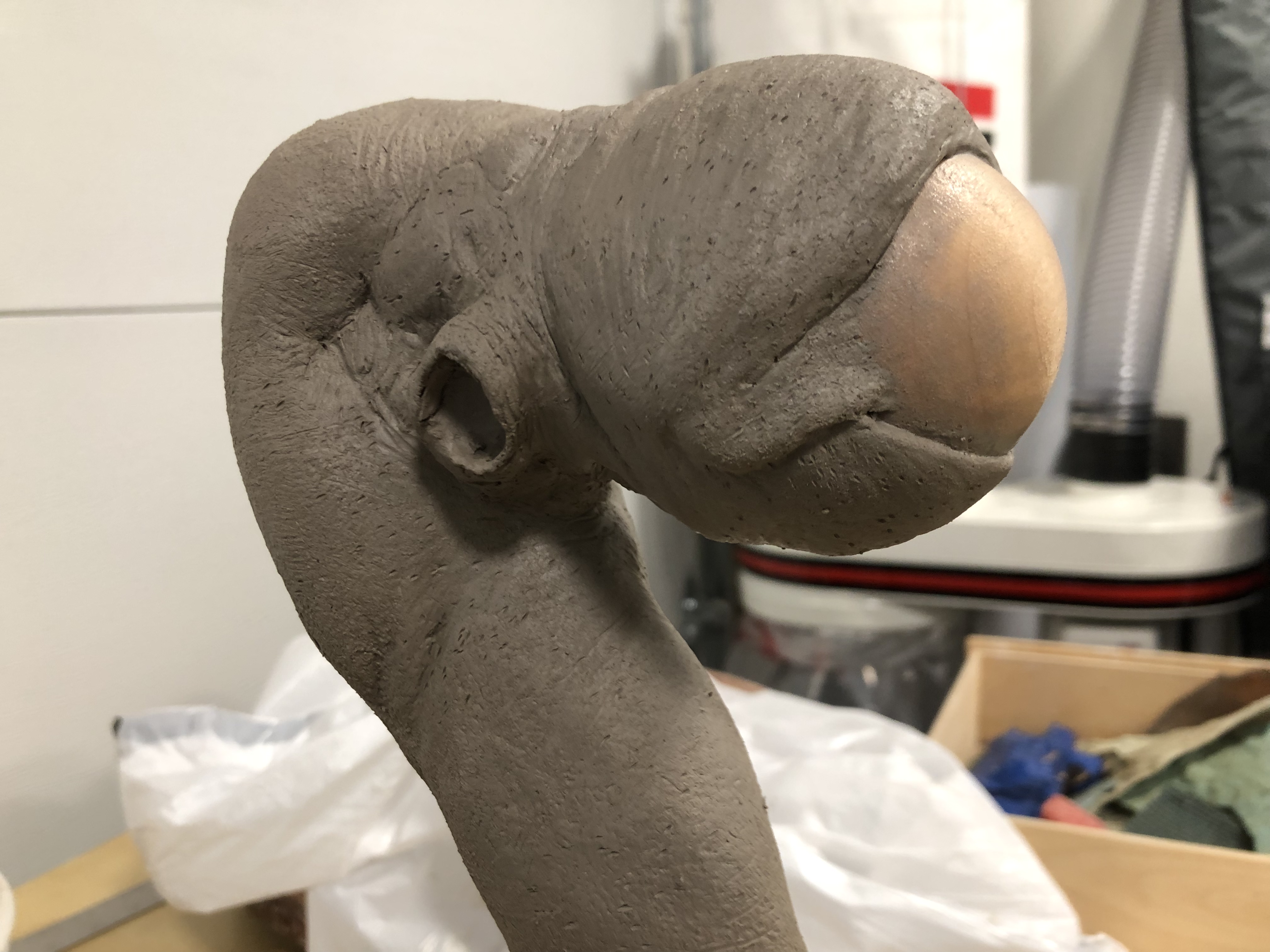 2019-05-25 17.04.56.jpg