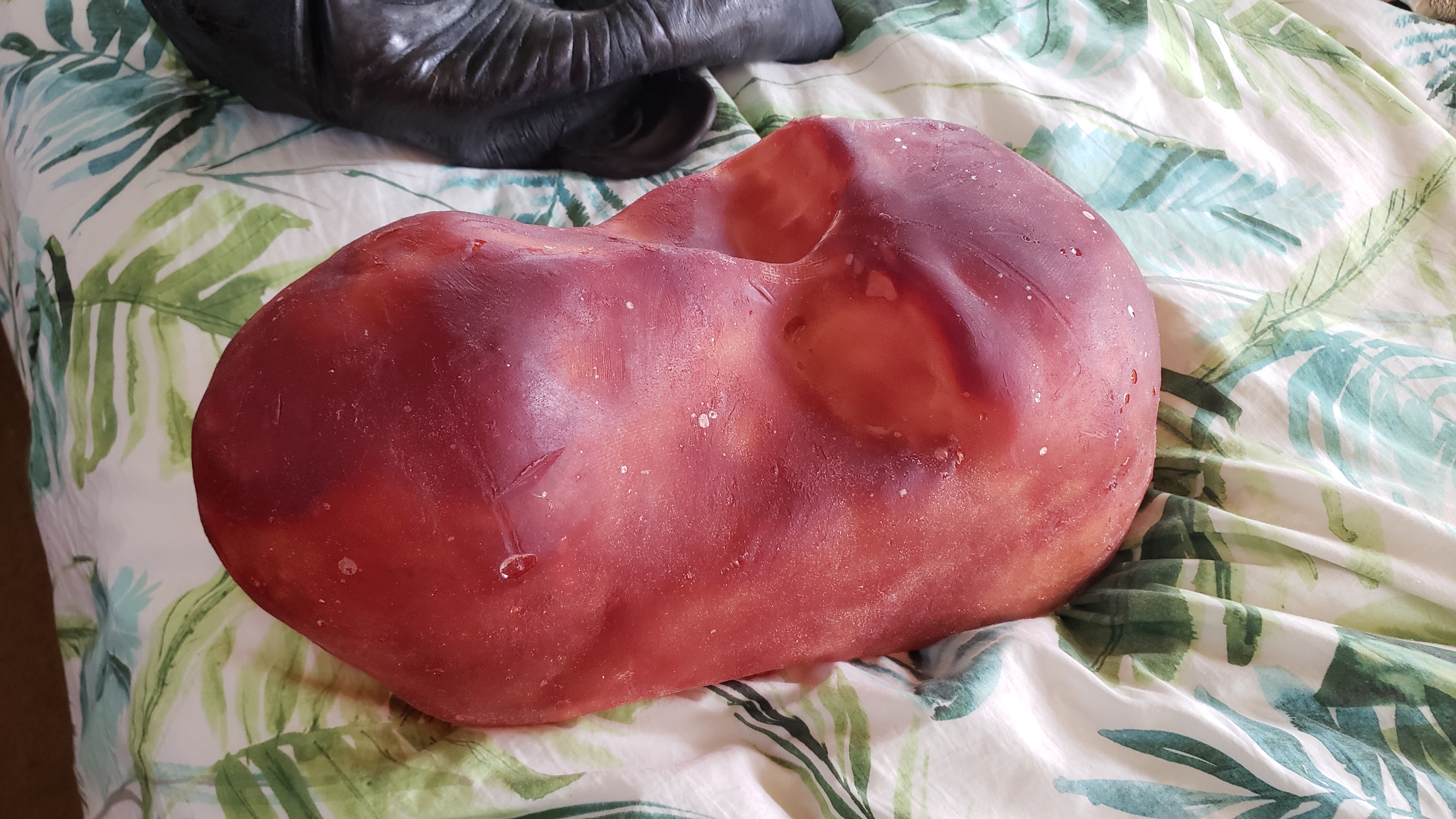 20190711_175519.jpg