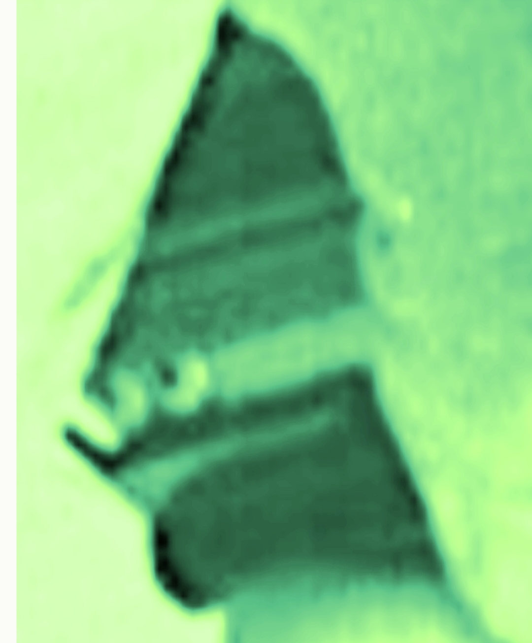 20190825_221919.jpg