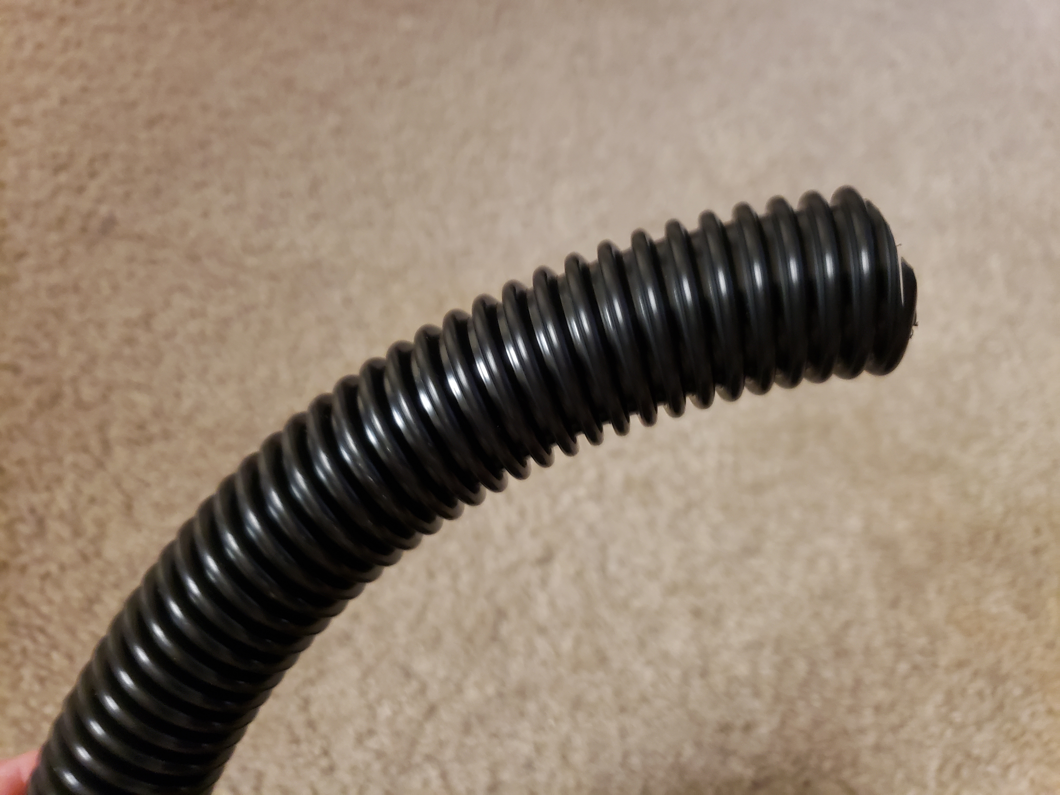 20200911_165926.jpg
