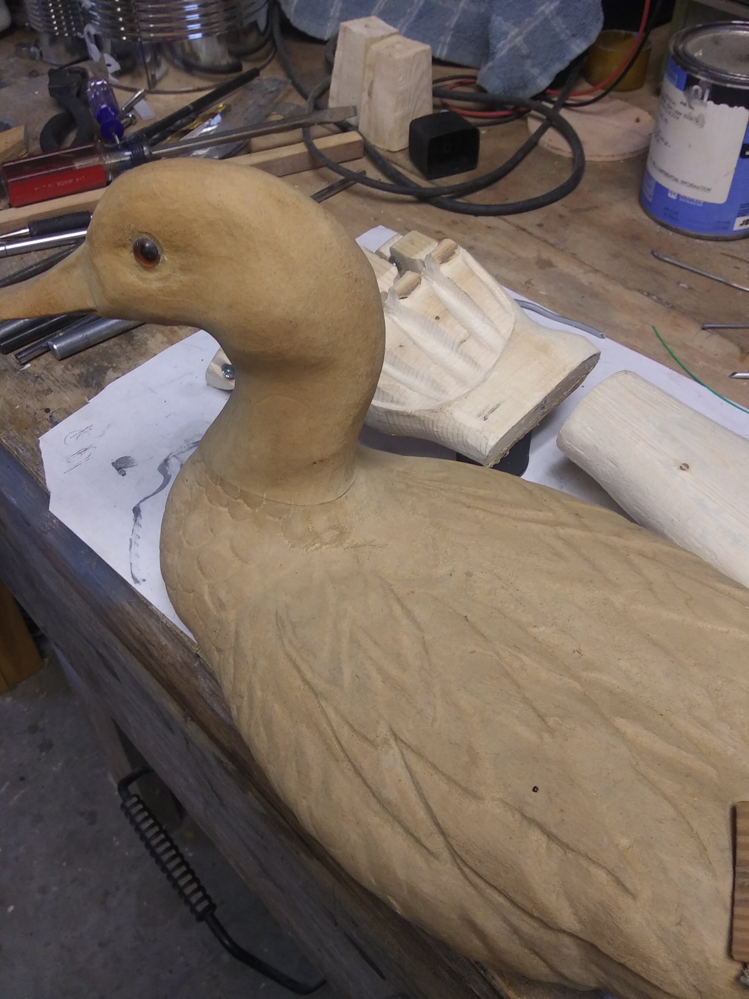 20200922_203333.jpg