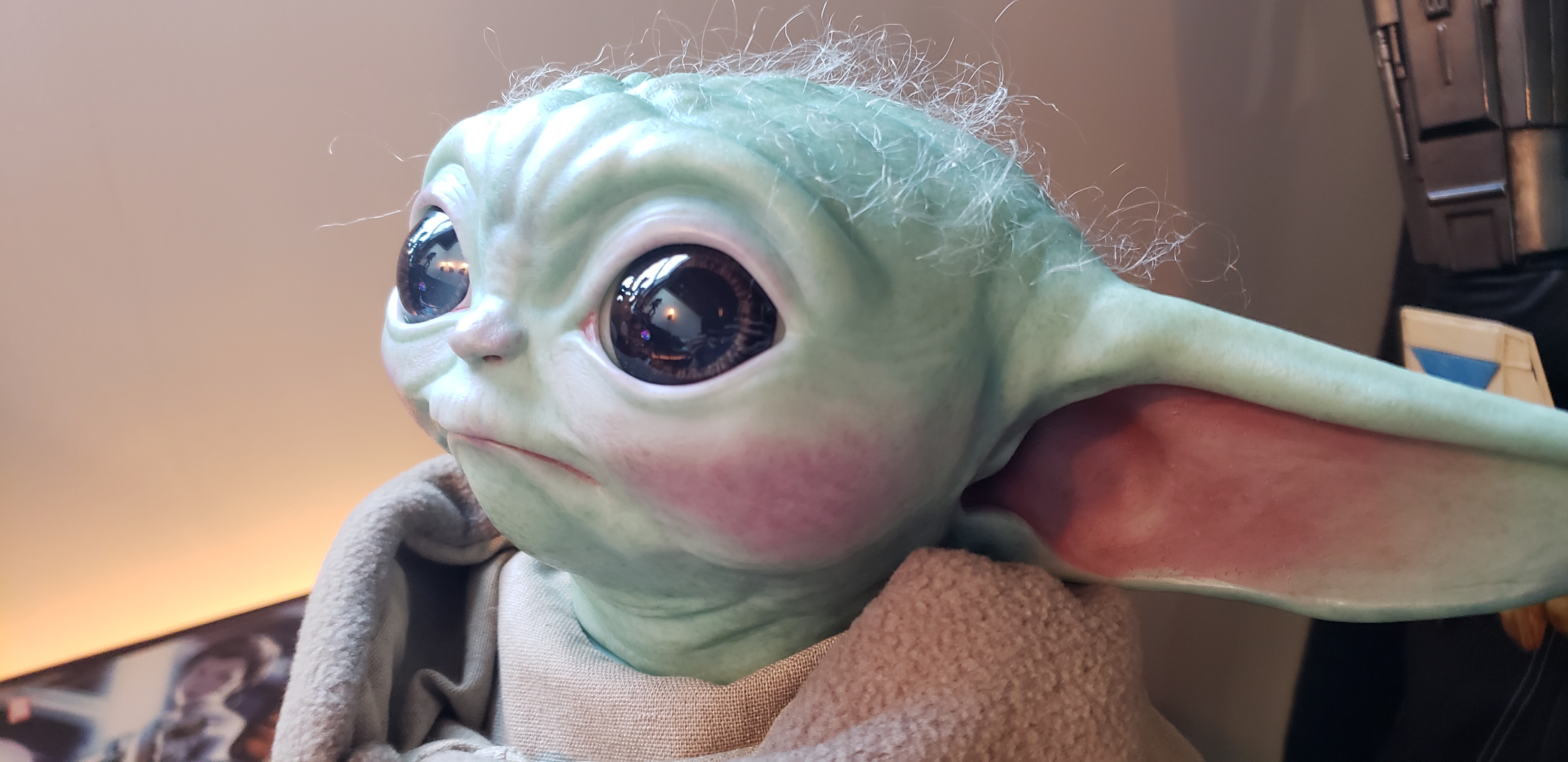 20201105_150933.jpg