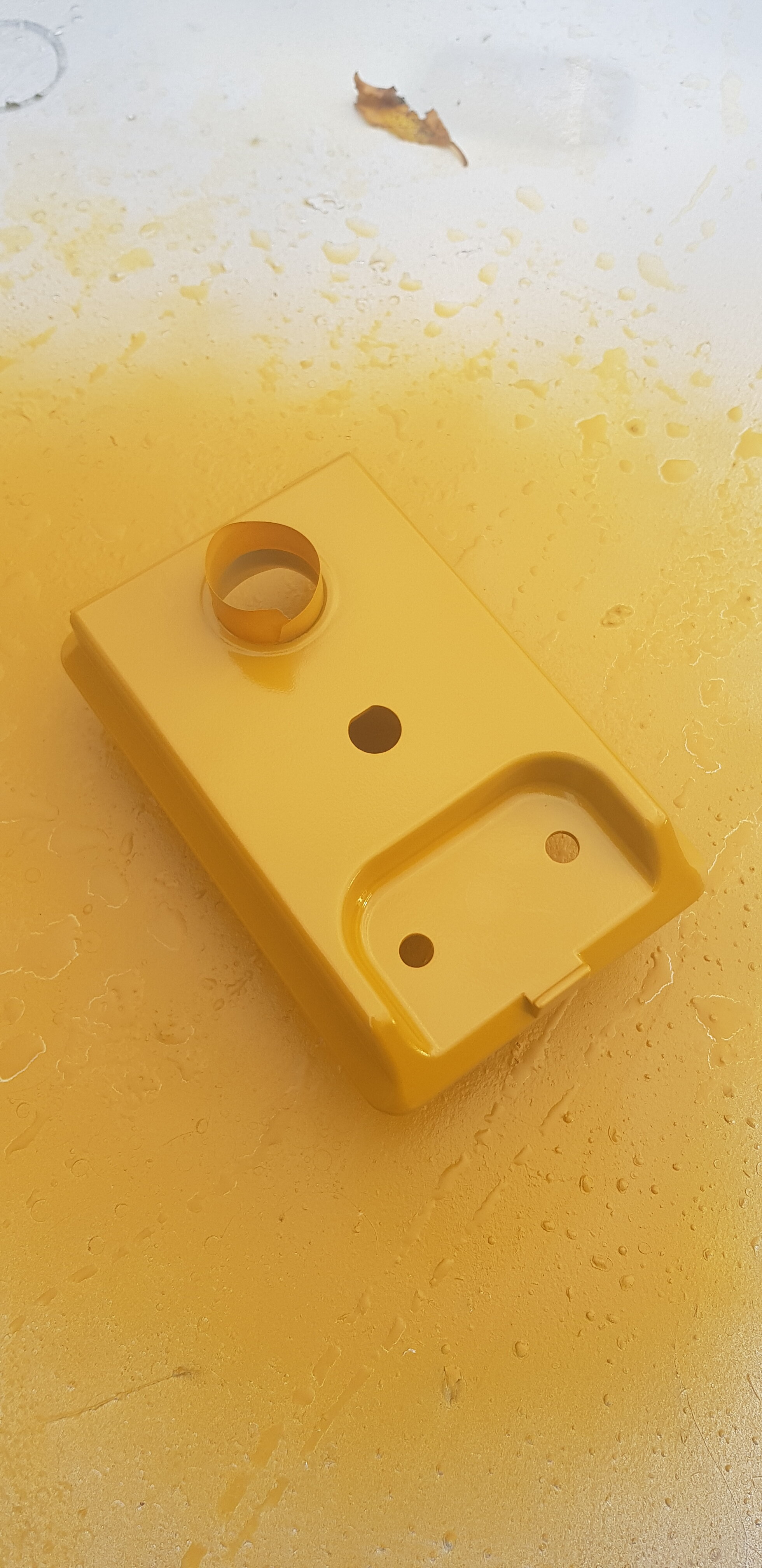 20201112_145736.jpg