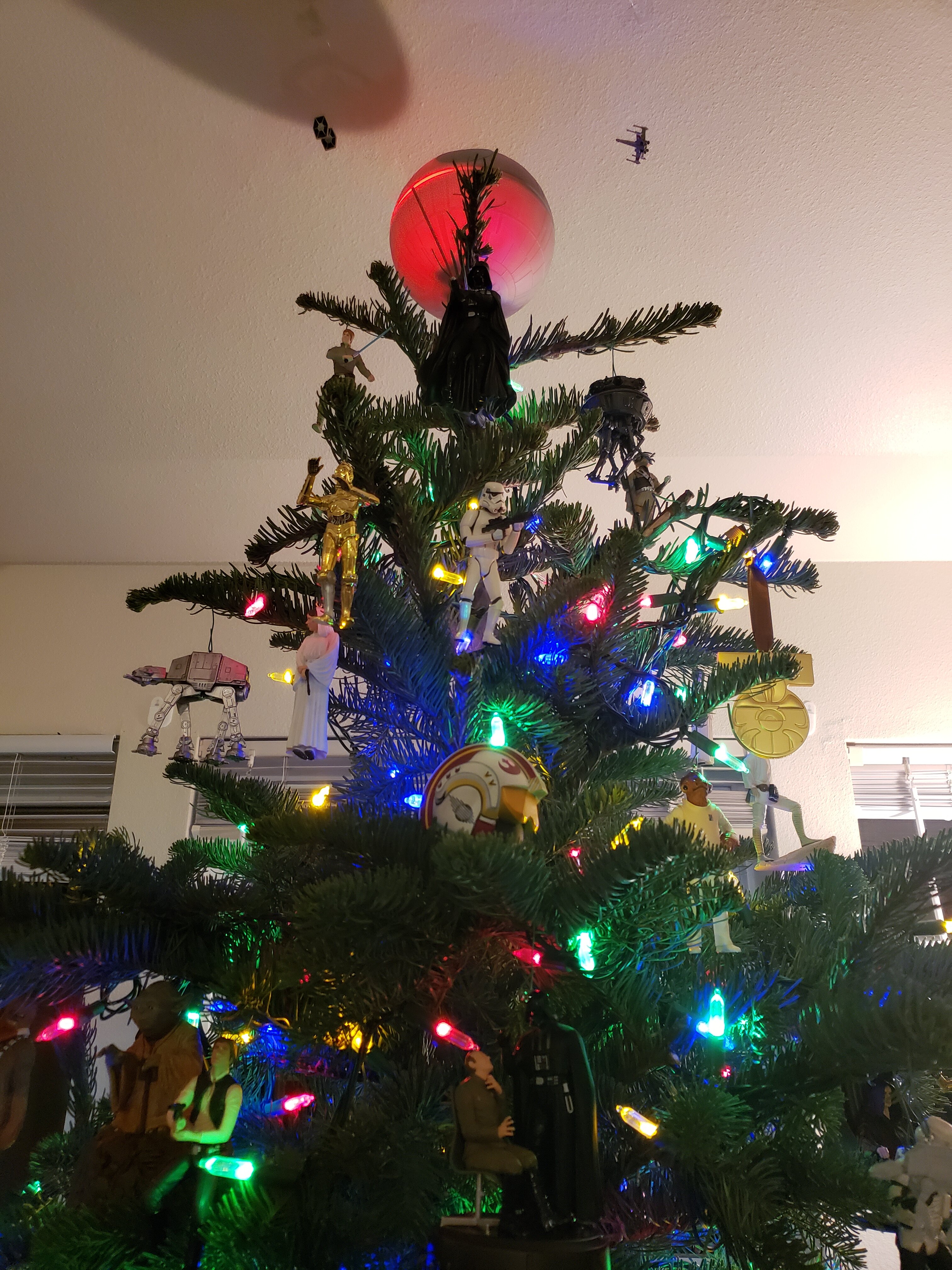20201201_174404.jpg