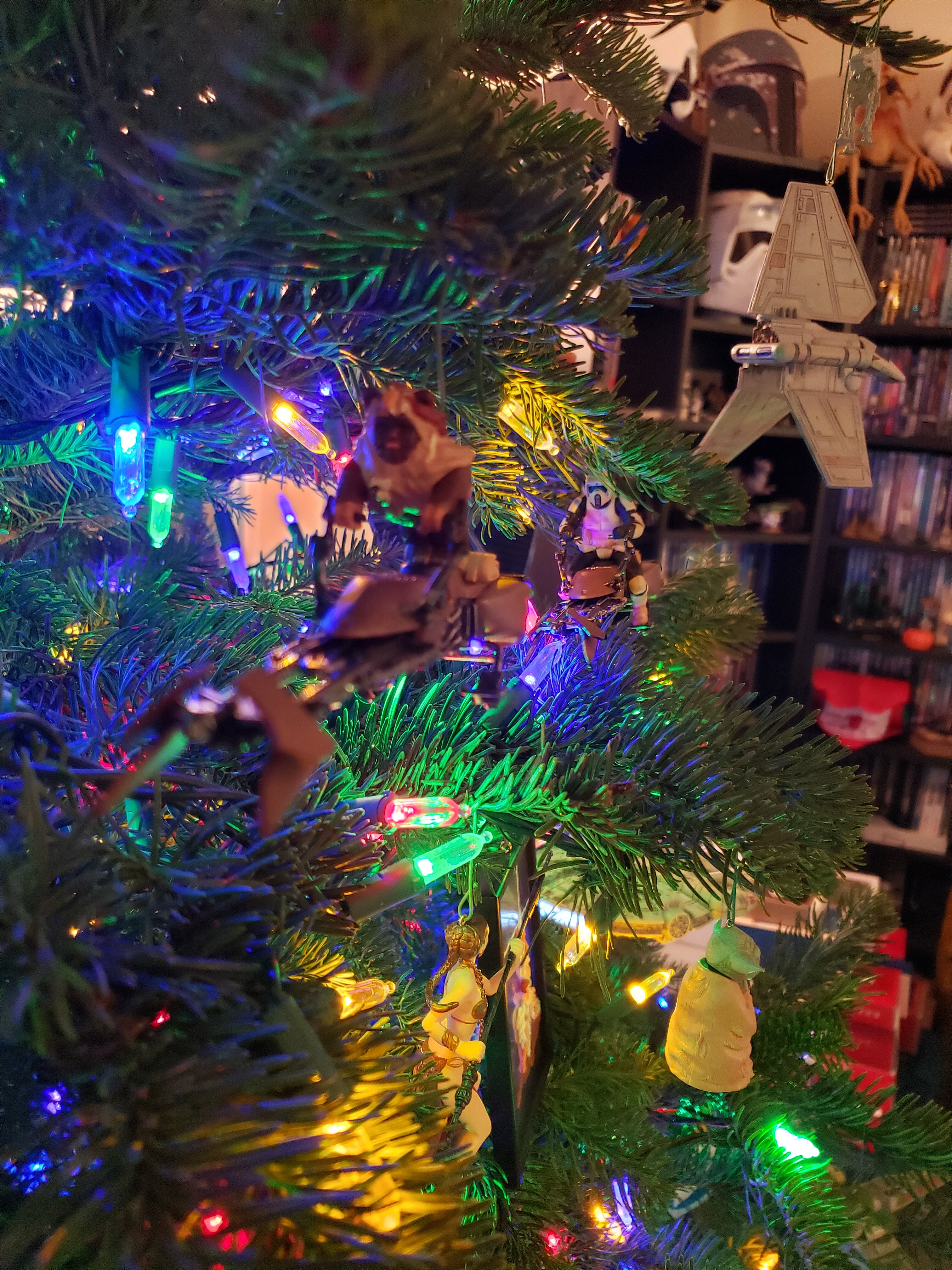 20201201_195724.jpg