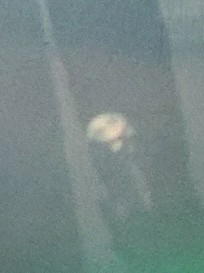 20201224_081906.jpg
