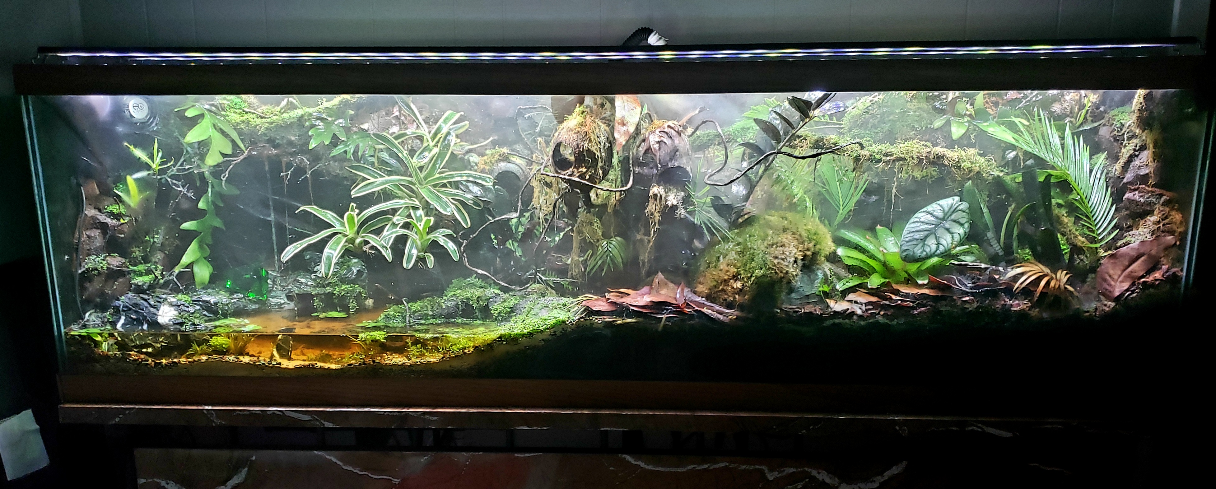 20211003_001831.jpg