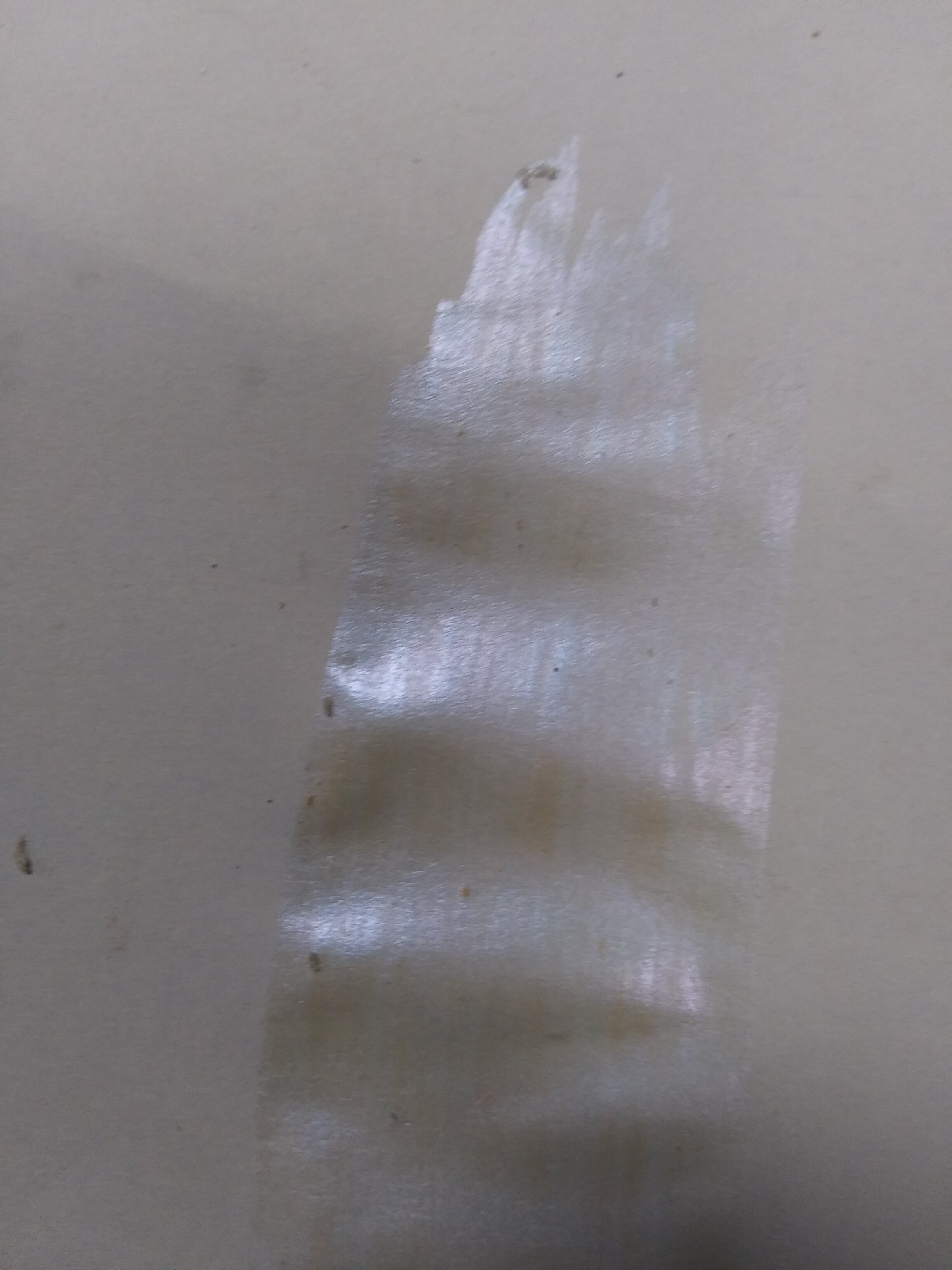 20220304_150733.jpg