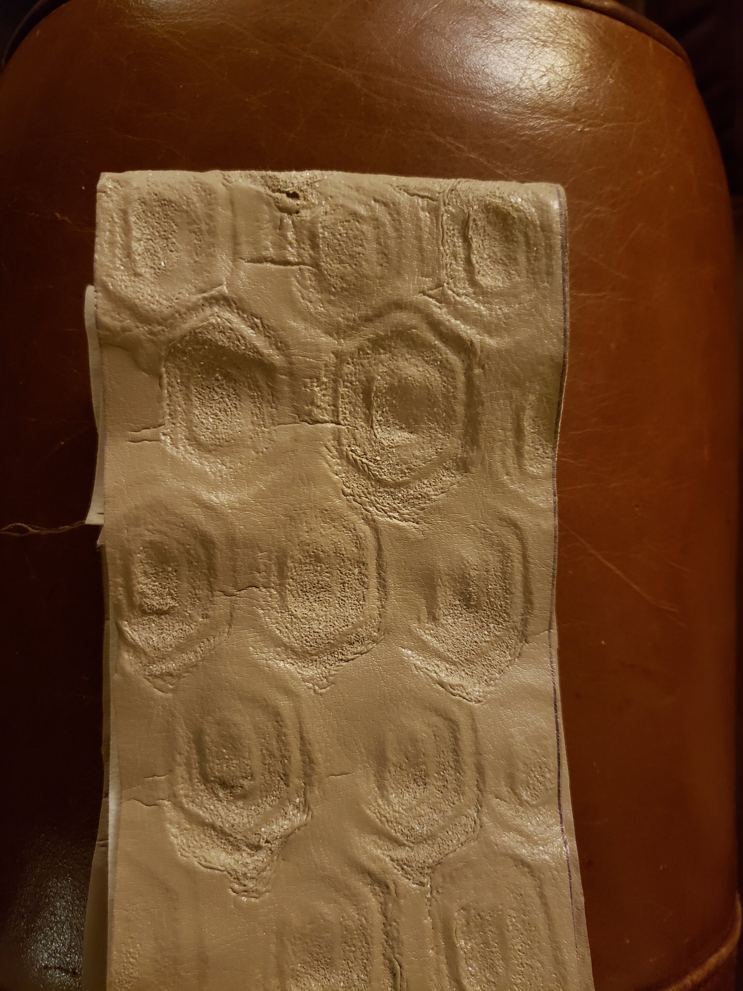 20221016_205643.jpg